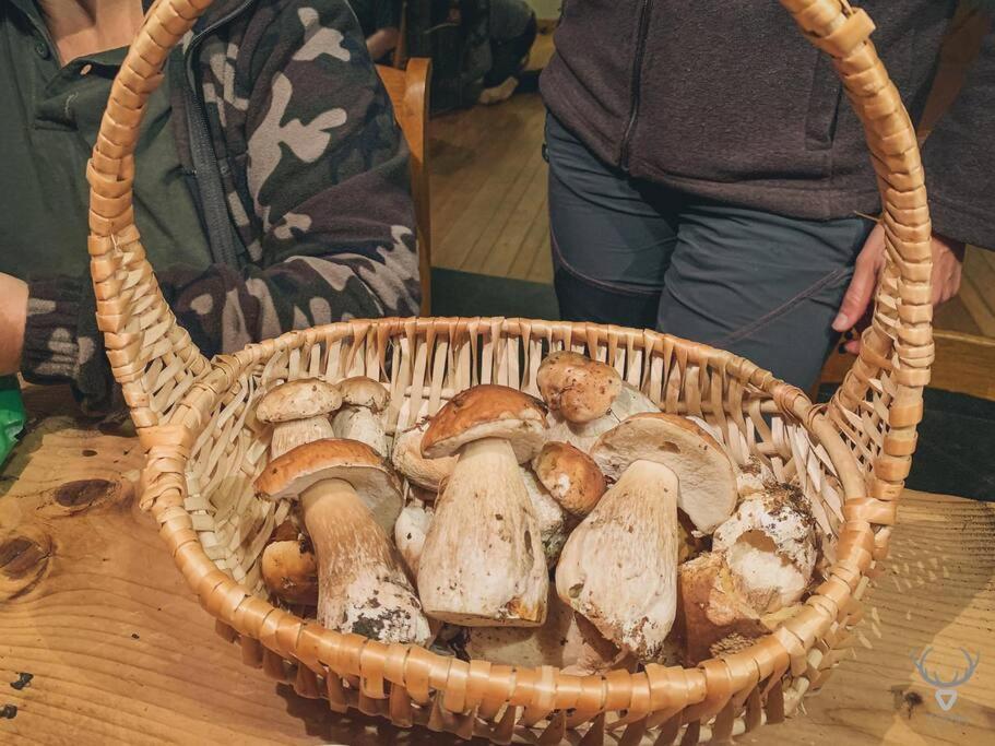 A L'Entree Du Verger - Charmante Maison En Pierres Dinant Buitenkant foto